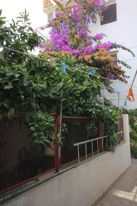 Apartments Zoki - Great Location Close To The Sea 비스 외부 사진